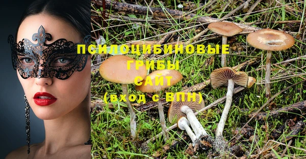 дурь Чехов