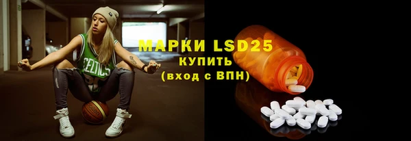 спиды Гатчина