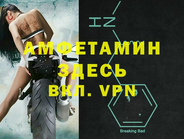 спиды Гатчина