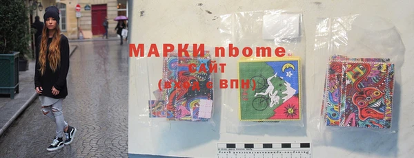 ГАЛЛЮЦИНОГЕННЫЕ ГРИБЫ Щучье