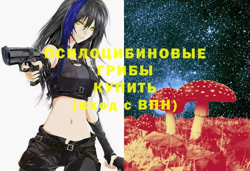 Галлюциногенные грибы GOLDEN TEACHER  KRAKEN рабочий сайт  Вольск 