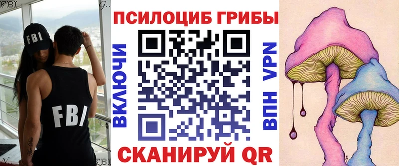 darknet телеграм  ссылка на мегу маркетплейс  Вольск  Галлюциногенные грибы Magic Shrooms 