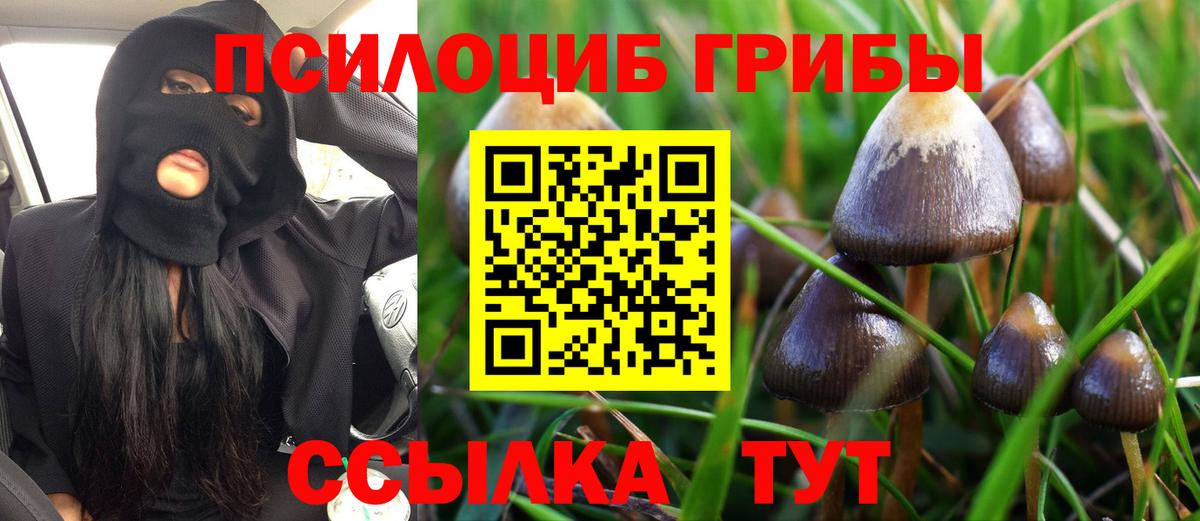 цены   Псилоцибиновые грибы Magic Shrooms  Вольск  Псилоцибиновые грибы мухоморы 